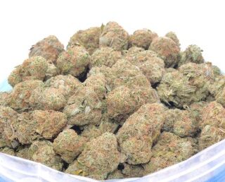 Vanilla Cookies Cannabis Strain UK