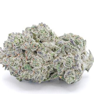 Ice Cream Cake Weed UK