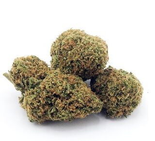 Lemon Zkittlez Marijuana UK