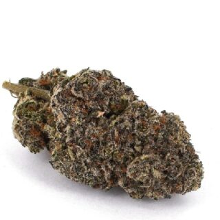 Rainbow Belts Marijuana UK