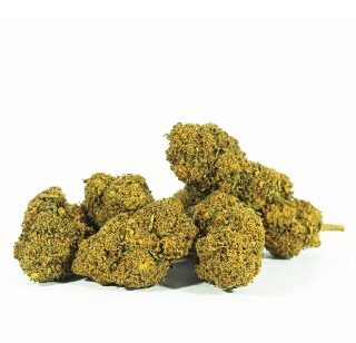 Mango Haze Cannabis UK