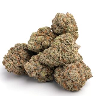 Biscotti Marijuana Strain UK