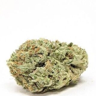 White Gushers Cannabis UK