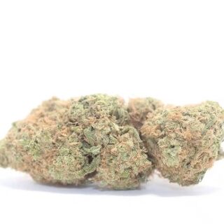 Zelato weed strain UK