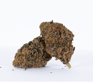 Grape Sorbet Marijuana UK