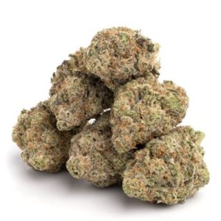 Truffle Sundae Weed UK