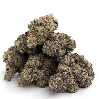 White Truffle Marijuana UK
