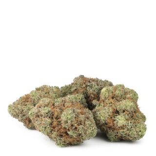 Sensi Skunk Marijuana UK