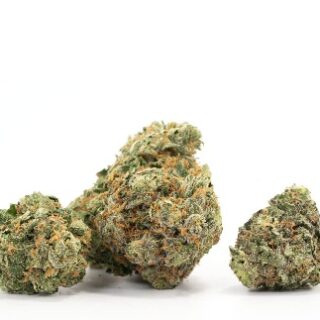 Critical Kush Weed UK
