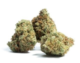 Black Cherry Gelato Marijuana UK