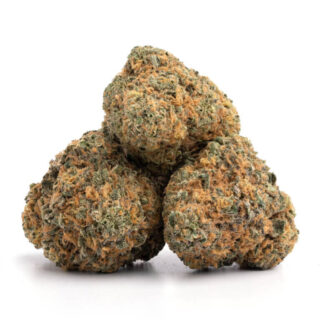 Duke Nukem Marijuana UK