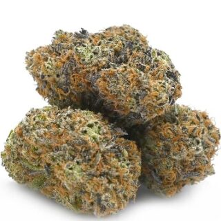 French Toast Weed UK