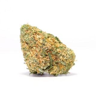 Harlequin Cannabis Strain UK