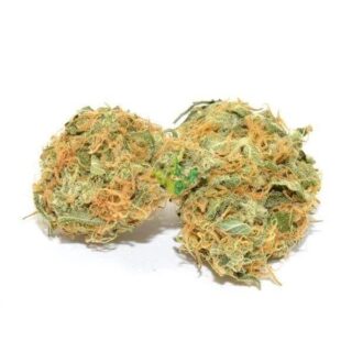 Jack Herer Weed UK
