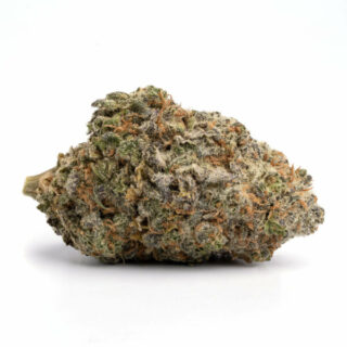 King Louis Cookies Marijuana UK