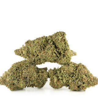 Laughing Buddha Cannabis UK