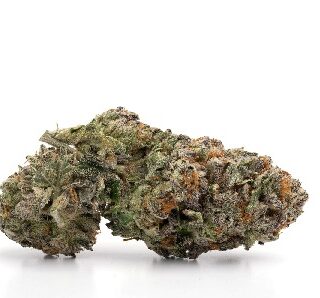 Master Kush Weed UK