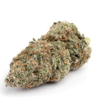 Garlic Cookies Cannabis UK