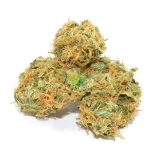 Organic Jack Herer Weed UK