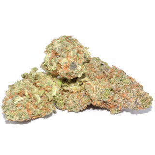 Power Plant Weed UK