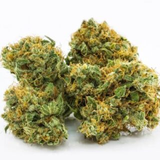 Snow Cone Marijuana UK