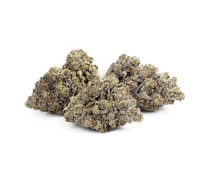 Hi-Octane Marijuana UK