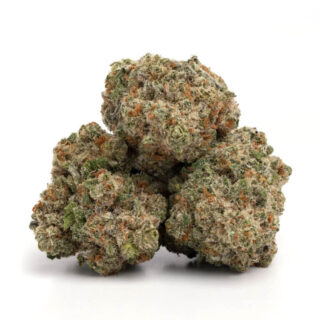 Jack Herer Cannabis UK