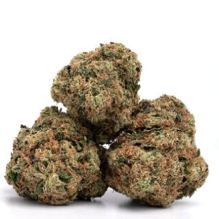 Girl Scout Cookies Marijuana UK