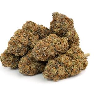 Blueberry Cookies Weed UK