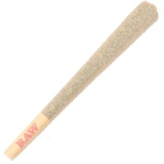 Sour Diesel Craft Primo THCa Preroll UK