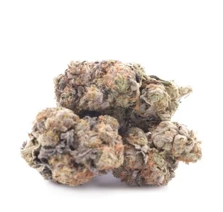 Colt 45 Cannabis Strain UK