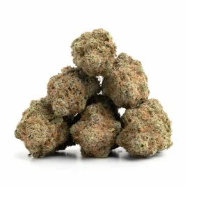 Northern Lights Marijuana Strain UK