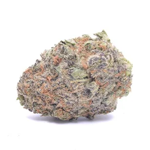Orange Crush Marijuana Strain UK