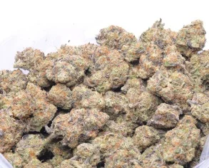 Tropicana Cookies Weed Strain UK