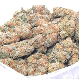 White Apricotzz Weed Strain UK