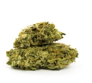 Hindu Kush Weed UK